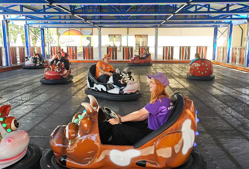 Bumper Cars