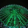 65m Giant Ferris Wheel for Sale