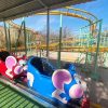 Mouse Roller Coaster for Sale