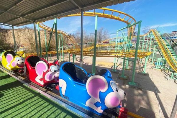 Mouse Roller Coaster for Sale