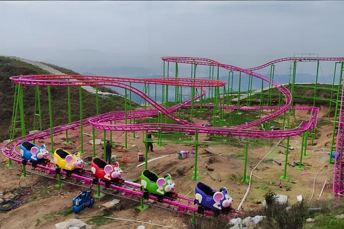 Mouse Roller Coaster Amusement Ride