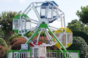 Mobile Ferris Wheel Amusement ride Mobile Ferris Wheel Amusement ride