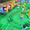 Roller Coaster for Sale