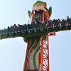 frog hopper drop tower ride frog hopper drop tower ride