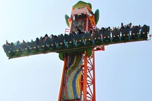 frog hopper drop tower ride frog hopper drop tower ride