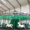 24 seat European Style Luxury Carousel structure 24 seat European Style Luxury Carousel structure